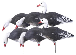 Pro Grade Full Body 6 Pack Blue Harvester by Banded Pro Grade Full Body 6 Pack Blue Harvester by Banded
