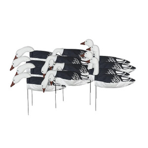 12 Pack 3D Painted Head Pro Grade Regular Blue Goose Windsock Decoys by Avery