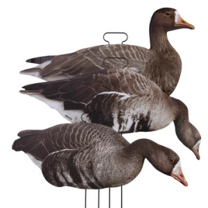 FLATS Specklebelly Standing Goose by Higdon Outdoors FLATS Specklebelly Standing Goose by Higdon Outdoors