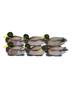 6 Pack GHG Pro Grade XD Series Mallard Drake Decoys with Flocked Heads by Avery