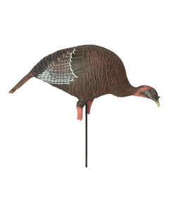 GHG Pro Grade XD Feeding Hen Turkey Decoy by Avery