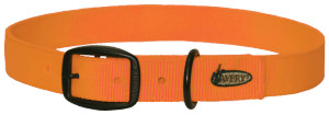Banded Standard Collar in Blaze Orange Banded Standard Collar in Blaze Orange