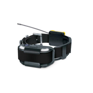 Pathfinder 2 Additional Receiver by Dogtra