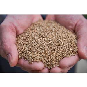 50lb Japanese Millet Feed by Stratton Seed Company