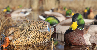 Avery GHG Pro-Grade XD Series Active Mallard Decoys 6 Pack by Banded