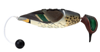 Avery EZ Bird Green-Winged Teal by Banded