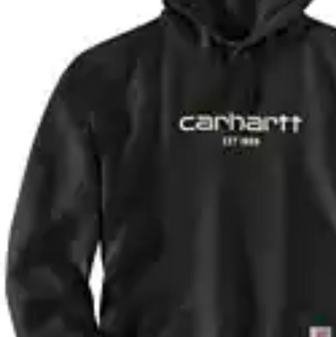Force Relaxed Fit Light Weight Logo Graphic Hoodie by Carhartt