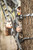 Hawk Cruzr Tree Bracket