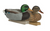 Essential Series Mallards - 1 Dozen
