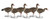 6 Pack Dakota Full Body Specklebelly Goose Decoys by Dakota Decoy Company