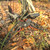 Bow Jack Mini Wide Folding Bow Stand by Truglo Bow Jack Mini Wide Folding Bow Stand by Truglo