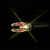3 Pack Red & Green Strobing FIT Universal Size Lighted Nocks by Nockturnal 3 Pack Red & Green Strobing FIT Universal Size Lighted Nocks by Nockturnal