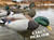 EVAC Series Fullbody Mallard Decoys 6 Pack by White Rock Decoy Company