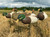 EVAC Series Fullbody Mallard Decoys 6 Pack by White Rock Decoy Company