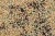 10lb Peas and Oats Winter PZ Food Plot Seed Bag by Evolved