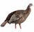 HDR Hen Decoy by Avian X- neck down