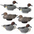 6 Pack of HydroFoam Pintatil Duck Decoys by Heyday 6 Pack of HydroFoam Pintatil Duck Decoys by Heyday