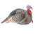 Strut Lite Jake Turkey Decoy by Hunters Specialties