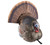 LCD Strutter Turkey Decoy by Avian X