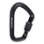 Black Diamond Hotforge Screwgate Carabiner by Trophyline