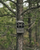 Reveal X 3.0 Scouting Game Camera by Tactacam