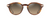 MOMI Shiny Dark Havana Frames with Bronze lens by Maui Jim