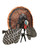 Scoot N Shoot Gunner Turkey Decoy by MOJO Outdoors