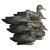 6 Pack Battleship Black Duck Foam Filled Duck Decoys by Higdon Outdoors 6 Pack Battleship Black Duck Foam Filled Duck Decoys by Higdon Outdoors