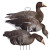 FLATS Specklebelly Standing Goose by Higdon Outdoors FLATS Specklebelly Standing Goose by Higdon Outdoors