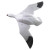 Feather Flyers Snow Goose Wind Activated Decoy by Higdon Outdoors