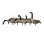 Honkers Fusion 6 Pack by Avian-X Honkers Fusion 6 Pack by Avian-X