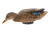 Power Shaker Motion Decoy Mallard Hen Surface Feeder by Avian X Power Shaker Motion Decoy Mallard Hen Surface Feeder by Avian X