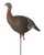 GHG Pro Grade XD Upright Hen Turkey Decoy by Avery
