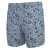 Baview Swim Trunks by Local Boy Outfitters