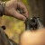 Silent Connect System by Mathews