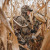 Core Insulated Jacket by First Lite Core Insulated Jacket by First Lite