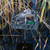 Avery Marsh 12" x 12" Flat Top Table Avery Marsh 12" x 12" Flat Top Table