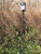 Trail Camera Holder Ground Mount by Hunting Made Easy Trail Camera Holder Ground Mount by Hunting Made Easy