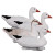 Full Size Snow Goose Floater 4-Pack by Higdon Outdoors