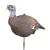 Pretty Girl Lookout Hen Decoy by Knight and Hale