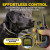 1900X 1 Dog Unit E-Collar by Dogtra