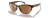 Duskwing Sunglasses with Tortoise Sky Frames and Copper Lenses by Zeal