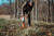 Apple Crushed 5lb Bag by Wildgame Innovations