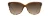 Starfish Sunglasses with Translucent Chocolate Tortoise Frames and HCL Bronze Lens by Maui Jim