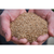 50lb Japanese Millet Feed by Stratton Seed Company