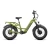 Revolt AWD Electric Bike in OD Green by Rambo