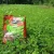 Game Changer Clover 2.5lb Bag by Antler King