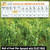 32oz Plot Max Soil Conditioner by Antler King