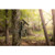 Edge Solar Cell Cam in Mossy Oak Camo by Moultrie