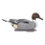 Legacy Magnum Pintail Foam Filled decoy 6pack by Higdon